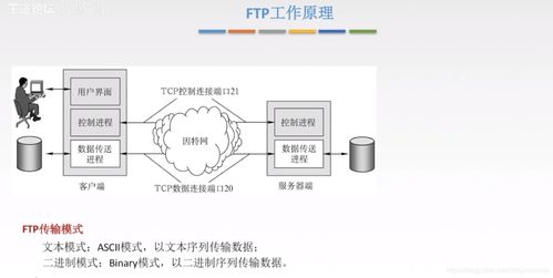 計算機系統(tǒng)服務(wù)中的6.3文件傳輸協(xié)議(FTP)